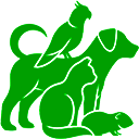 Best Friends in Show: Dog Contest