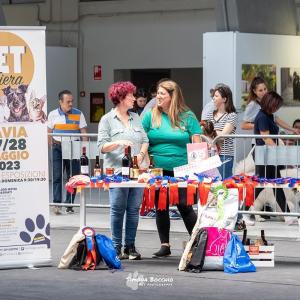 pavia petinfiera 2024