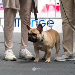 petinfiera2024