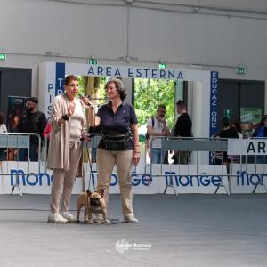 petinfiera2024