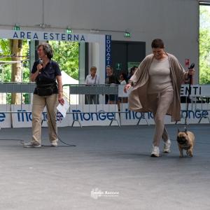 petinfiera2024