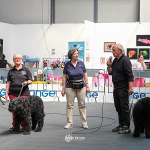 petinfiera2024