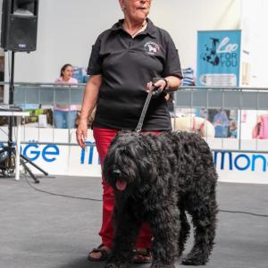 petinfiera2024