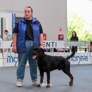 petinfiera2024