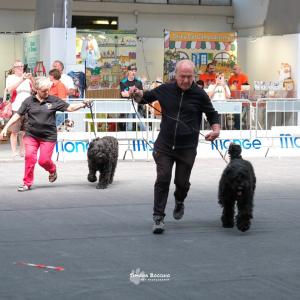 petinfiera2024