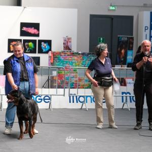 petinfiera2024
