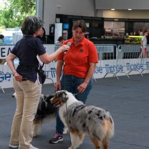 petinfiera2024