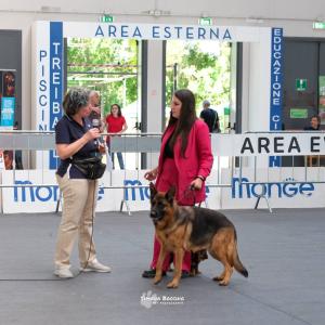 petinfiera2024