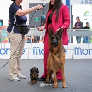 petinfiera2024