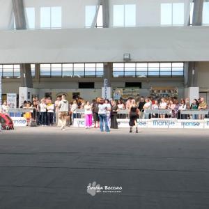 petinfiera2024
