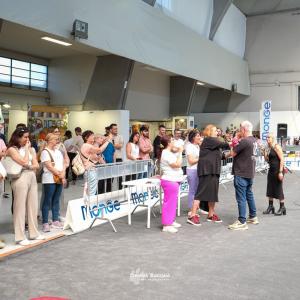 petinfiera2024