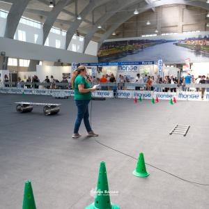 petinfiera2024