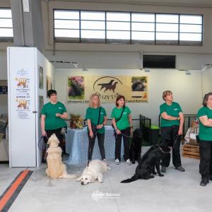 petinfiera2024