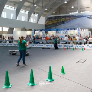petinfiera2024