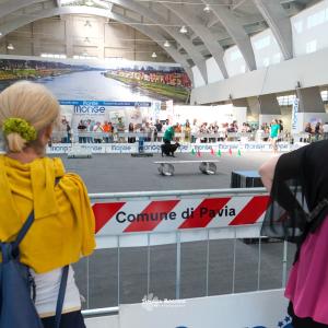 petinfiera2024