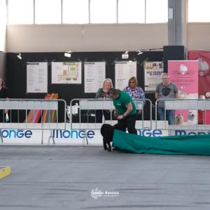 petinfiera2024