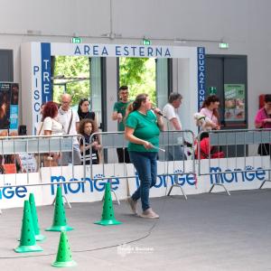 petinfiera2024