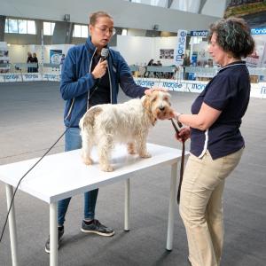 petinfiera2024
