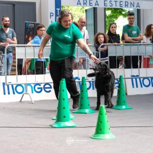 petinfiera2024