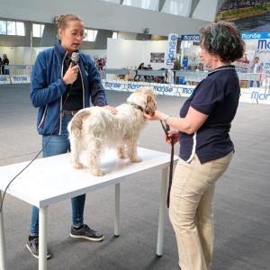 petinfiera2024