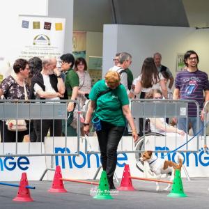 petinfiera2024