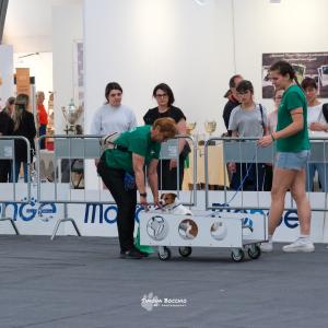 petinfiera2024