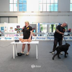 petinfiera2024