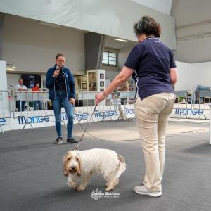 petinfiera2024