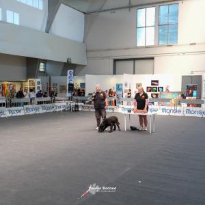 petinfiera2024