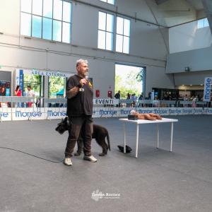 petinfiera2024