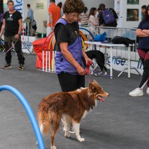 petinfiera2024