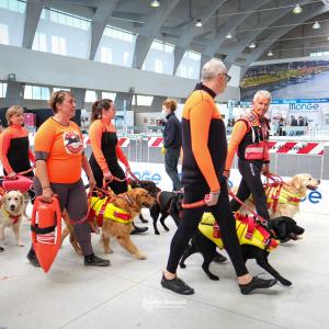 petinfiera2024