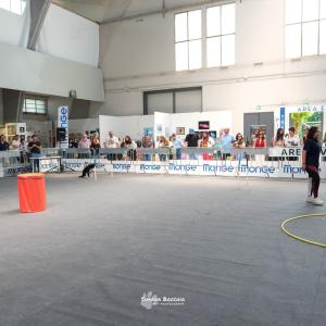 petinfiera2024