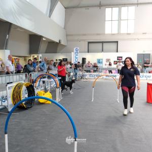 petinfiera2024