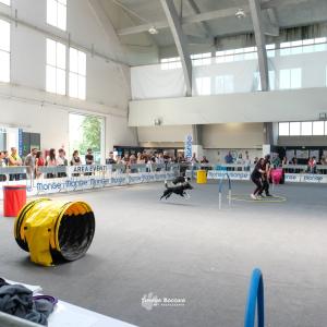 petinfiera2024