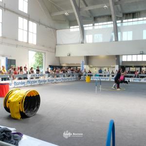 petinfiera2024