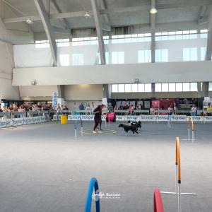 petinfiera2024