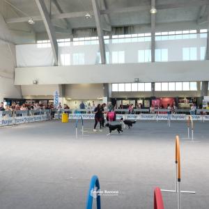 petinfiera2024