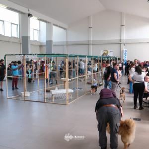 petinfiera2024