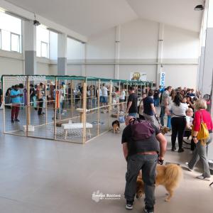 petinfiera2024