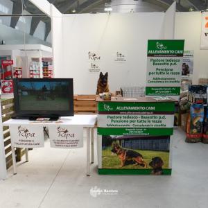 petinfiera2024