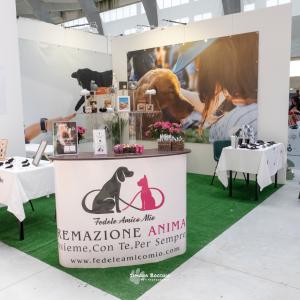 petinfiera2024