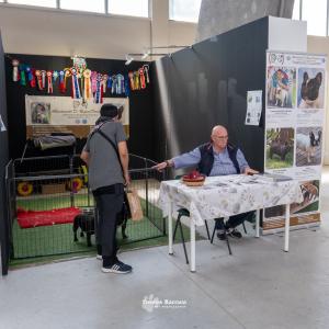 petinfiera2024