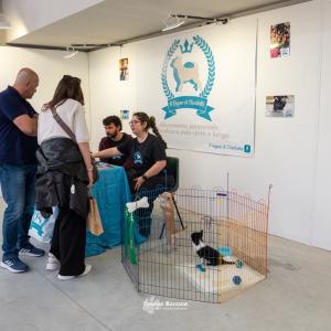 petinfiera2024