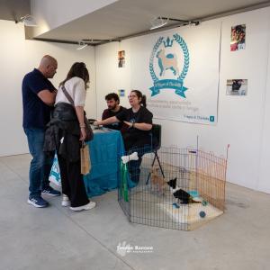 petinfiera2024