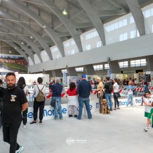 petinfiera2024