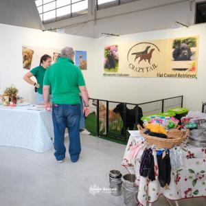 petinfiera2024