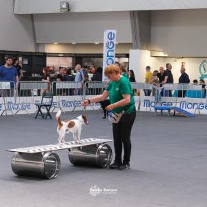 petinfiera2024