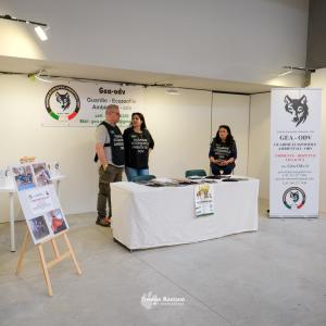 petinfiera2024