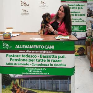 petinfiera2024